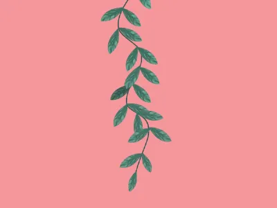 Screenshot drawing illustration leaf organic pink