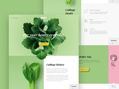 Burno Landing Page green landing page onepage ui ux