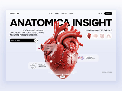 🧬 Web Design for anatomic research | Hyperactive animation colors concept design e commerce e learning edtech graphic design health healthtech hero section hyperactive light medical website product design ui user experience user inteface ux web design