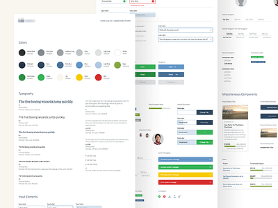 UI Style Guide buttons color guide interface style style guide typography ui web web design