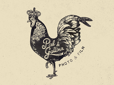 Piel de Gallina branding chicken handdrawn oldblackbamboo oldschool oldstyle vintage