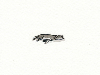 Stray dog sleeps dip pen drawing illustration indian ink pen and ink sleeping dog stray dog