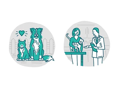 Vet website illustrations cat cute doctor dog illustration line vector vet