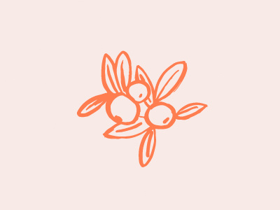 Orange Co. illustration orangejuice oranges orangetree