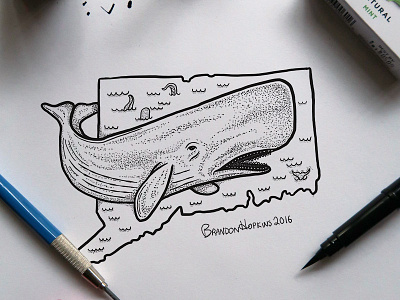 Conecticut SpermWhale art conecticut design graphic handmade illustration illustrator inktober photography whale