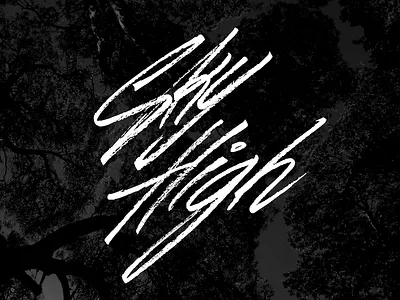 Sky High brush brush pen calligraphy inspiration lettering motivation