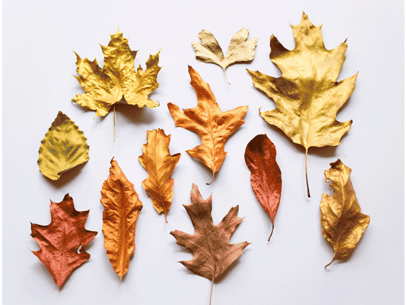 Before and After editorial illustration leaves tactile tactile design time out