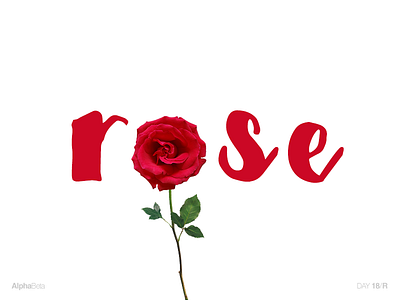 AlphaBeta - Day18 / R alphabet alphabeta english letters r rose typography