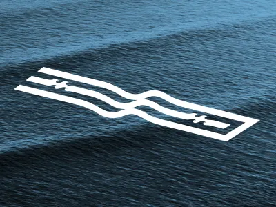 Longitudinal Waves equilibrium nature ocean surf swell symmetry vector water wave