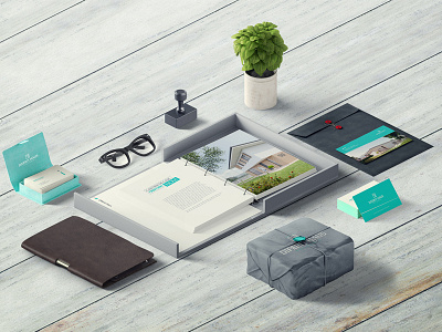 Real Estate Visual Identity identity visual