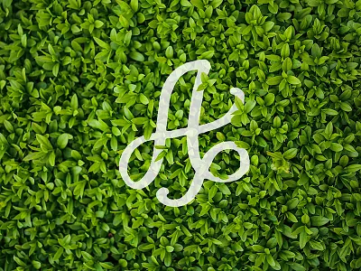 A digital art lettering photoshop