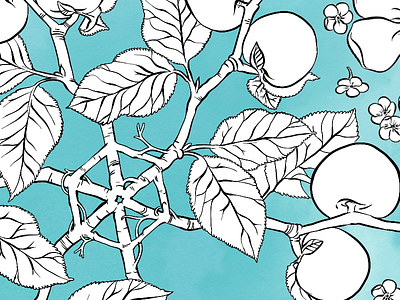 Springflake II blossoms flowers fruehling frühling handmade illustration snowflake spring twigs