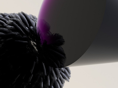 Feathers and cone 3d abstract model modo render