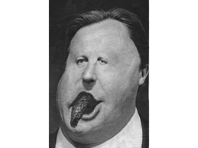 David Cameron 4 collage david cameron illustration paper paper collage portrait