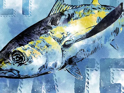 Gttw Tuna apparel art blue boat fish fishing sketch tshirt tuna water wip