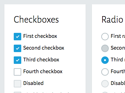 Design Guide Exploration checkbox design guide form radio style guide