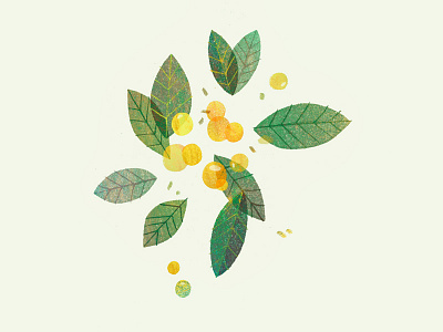 Autumn Berries design illustration leaves texture
