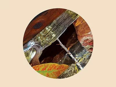 Nature Vignette collage graphics nature photography vignette