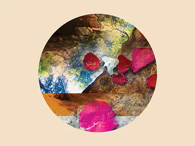 Nature Vignette collage graphics nature photography vignette