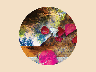 Nature Vignette collage graphics nature photography vignette