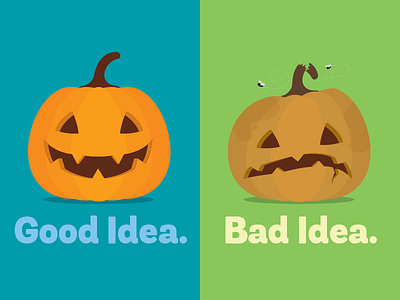 Pumpkins bad idea flies good idea halloween pumpkins rotting