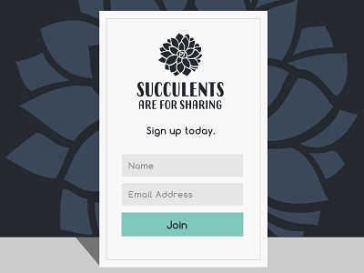 Daily UI #001 001 dailyui flower illustration lettering logo organic typography ui ux