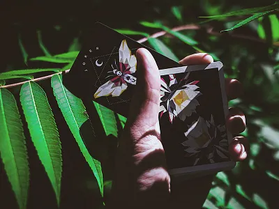 Carpe Noctem - Playing cards ace bold colourful flower illustration low poly magic moon moth playing cards spades
