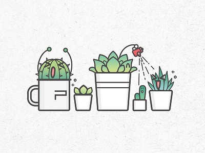Succulent Plants cute plants