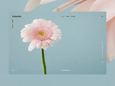 Umbrella animation app fashion flat gif material mobile typography ui ux web design website