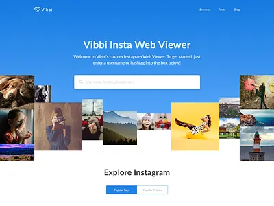 Instagram Marketing clean design flat homepage icons instagram website