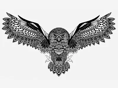 Mr Black Coffee Liqueur bird black and white detail drawing eyes hand drawn illustration owl panama pen pencil