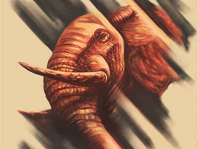 untitled animals artwork character digital drawing elephant illustration