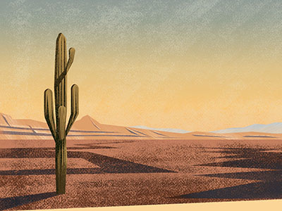 Desert adobe illustrator adobe photoshop couple desert design inspiration graphic design graphic designer illustration illustrator landscape olga hashim texture