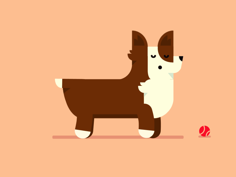 Corgi Run 2 animation ball corgi dog gif run