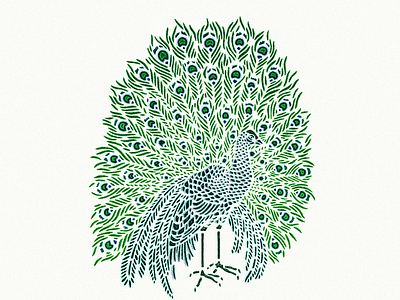 Peacock ... illustration peacock vector graphic