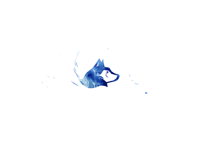 Wolfy animation animal animation blue branding gif intro liquid logo motion graphic wolf