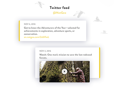 Twitter Feed concept daily ui feed news social timeline twitter ui ux video player web design