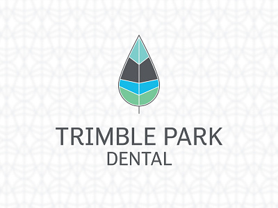 Trimble Park Dental Logo Design branding logo design pattern design