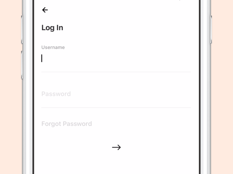 Input fields animation error fields input registration text