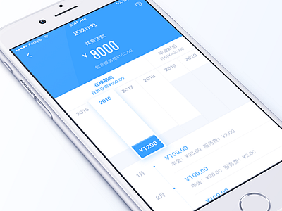 Repayment plan （Detail） app credit finance graph ios mobile money prepayment rmb ui