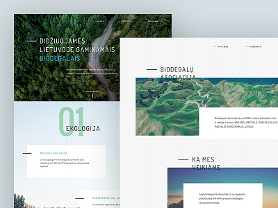 Biofuel website design biofuel corporate design eco ecology fuel green grid layout nature visual