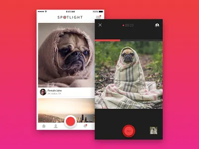 Spotlight App screens