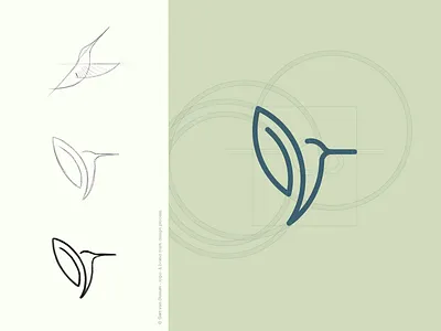 Hummingbird brandmark hummingbird icon logo logo design paperclip