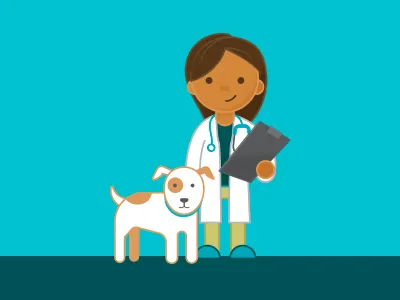 Vet illustration character colorado csu dog illustration veterinarian