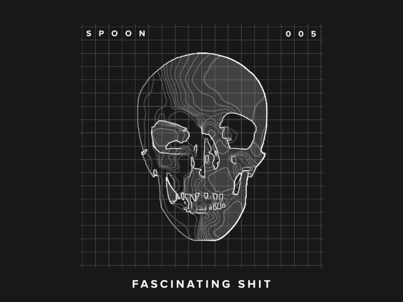 Fascinating_Shit_5.0 005 dot dots expressions fascinating grid lines noise pattern relief shit skull spoon wave