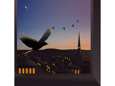 Sunset - Home Time bird home sunset