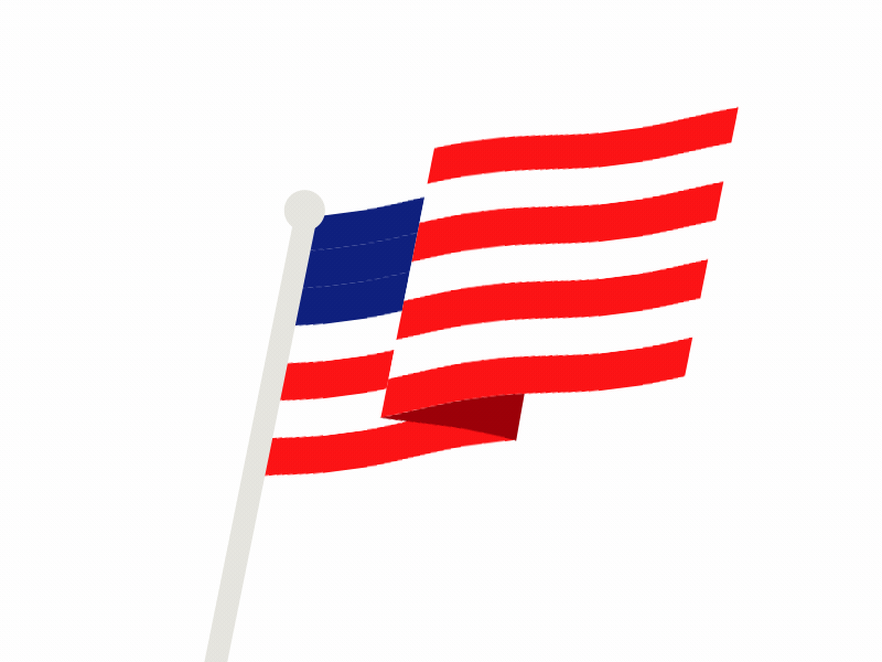 Oops america election flag trump