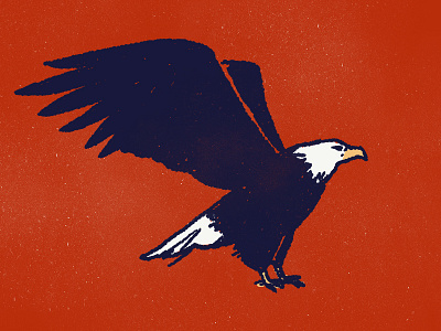Eagle america eagle freedom illustration