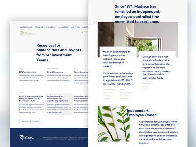Madison Funds bright clean grid hero hierarchy layout light modern website