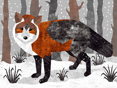 Fox animal canine forest fox illustration snow winter woods